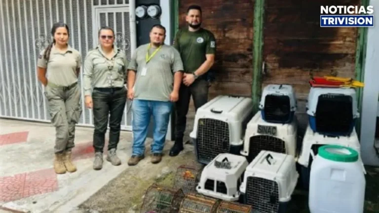 Rescatan 30 animales silvestres mantenidos ilegalmente en cautiverio en Puntarenas