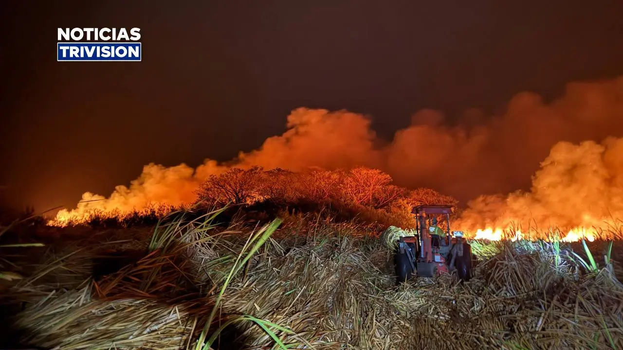 SINAC reporta 115 incendios forestales y más de 10 mil hectáreas afectadas