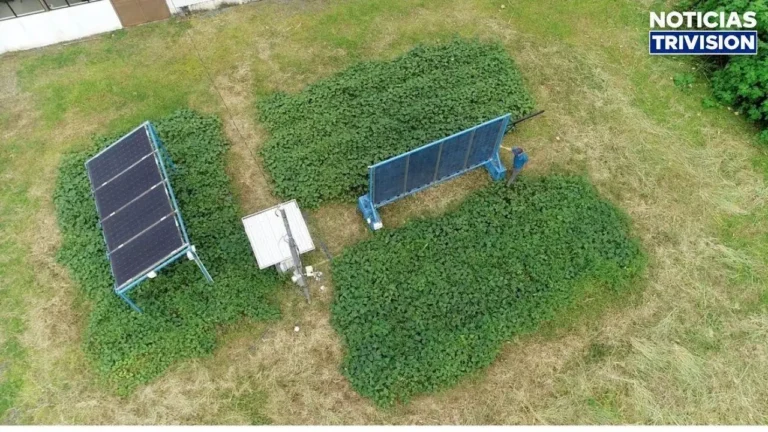 TEC inaugura el primer sistema agrovoltaico de Costa Rica
