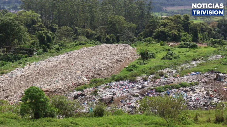 Turrialba cierra su vertedero y pone en marcha moderno centro de transferencia de residuos3
