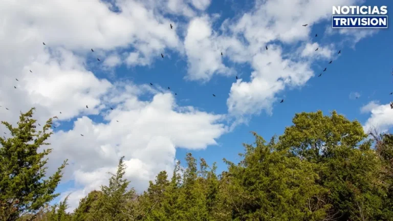Vientos alisios generan lluvias en varias regiones del país