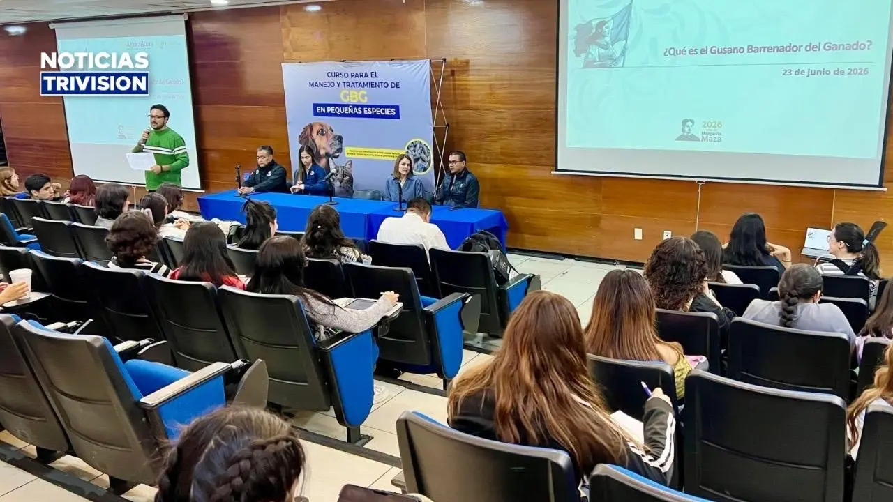 Costa Rica comparte su experiencia sobre el gusano barrenador con países de la región