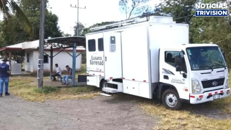 Costa Rica consolida el control del gusano barrenador tras atender más de 31 mil casos