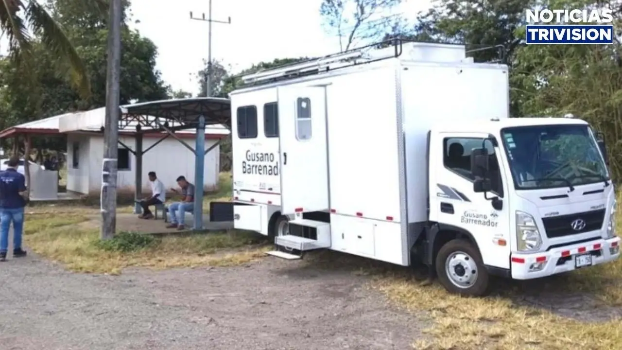 Costa Rica consolida el control del gusano barrenador tras atender más de 31 mil casos