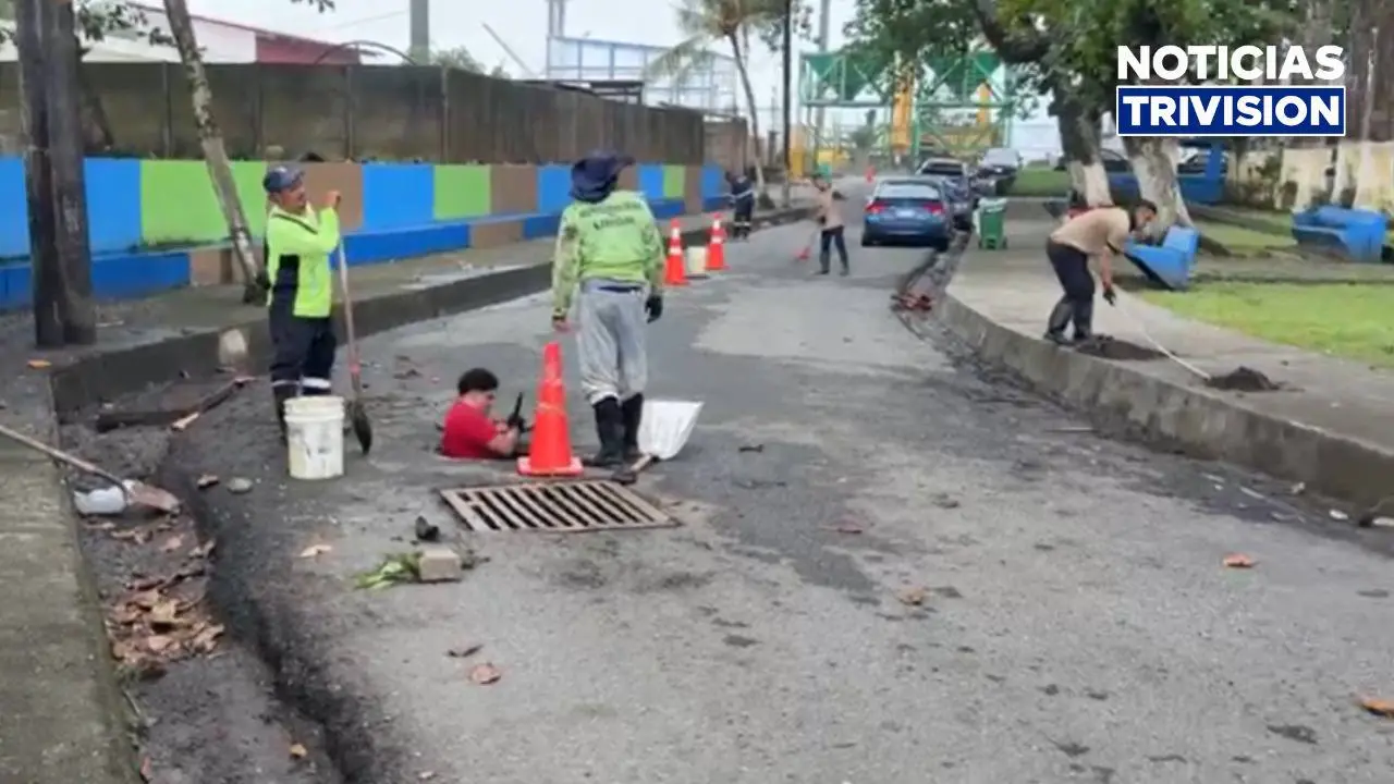 Cuadrillas municipales atienden afectaciones por lluvias en Limón