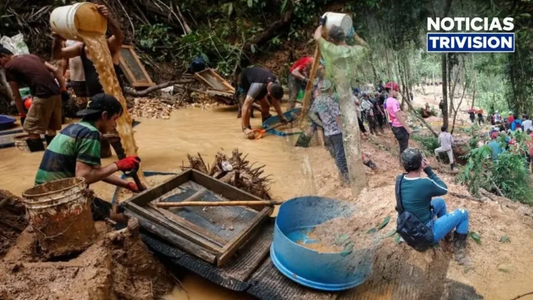 Declaran la minería ilegal como una modalidad del crimen organizado