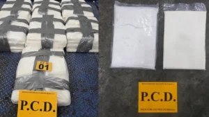Decomisan 150 kg de cocaína en contenedor en Moín, Limón