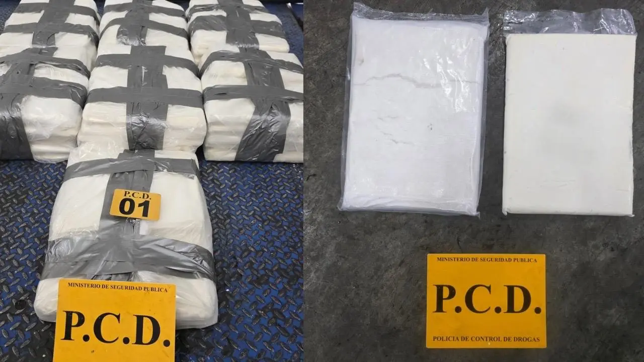 Decomisan 150 kg de cocaína en contenedor en Moín, Limón