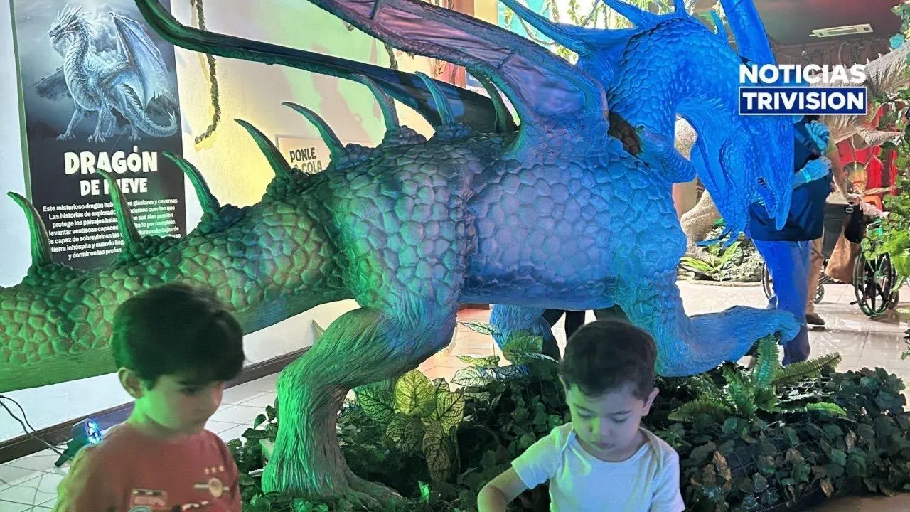 Dinosaurios, dragones e insectos gigantes toman el Museo de los Niños durante las vacaciones