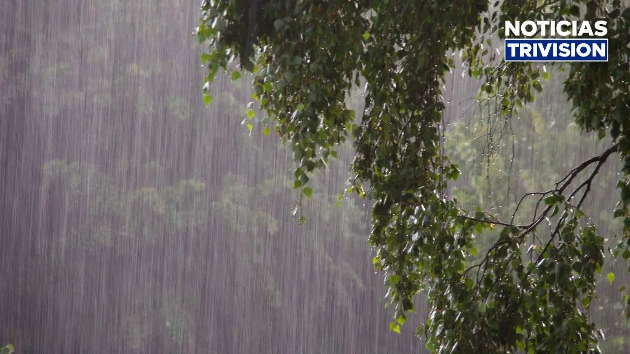 Emergencia por lluvias: 25 personas son trasladadas a un albergue en Sarapiquí