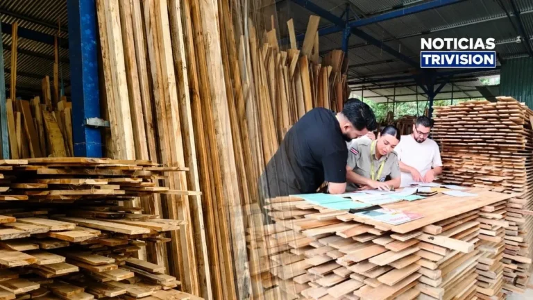 MINAE fortalece supervisión de la industria forestal