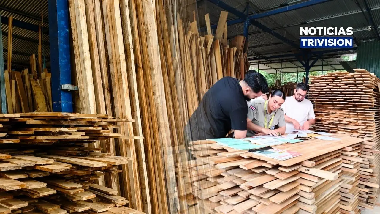 MINAE fortalece supervisión de la industria forestal