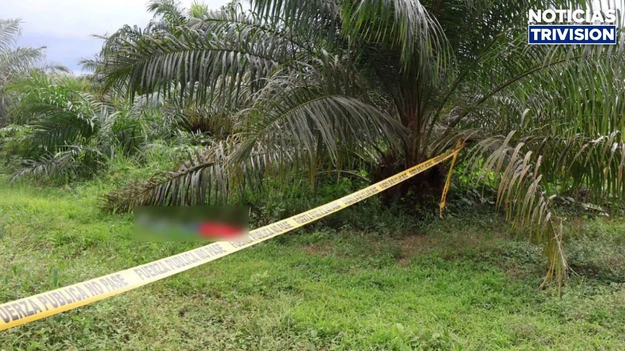 OIJ solicita ayuda para esclarecer homicidio de hombre en Palmar Sur de Osa