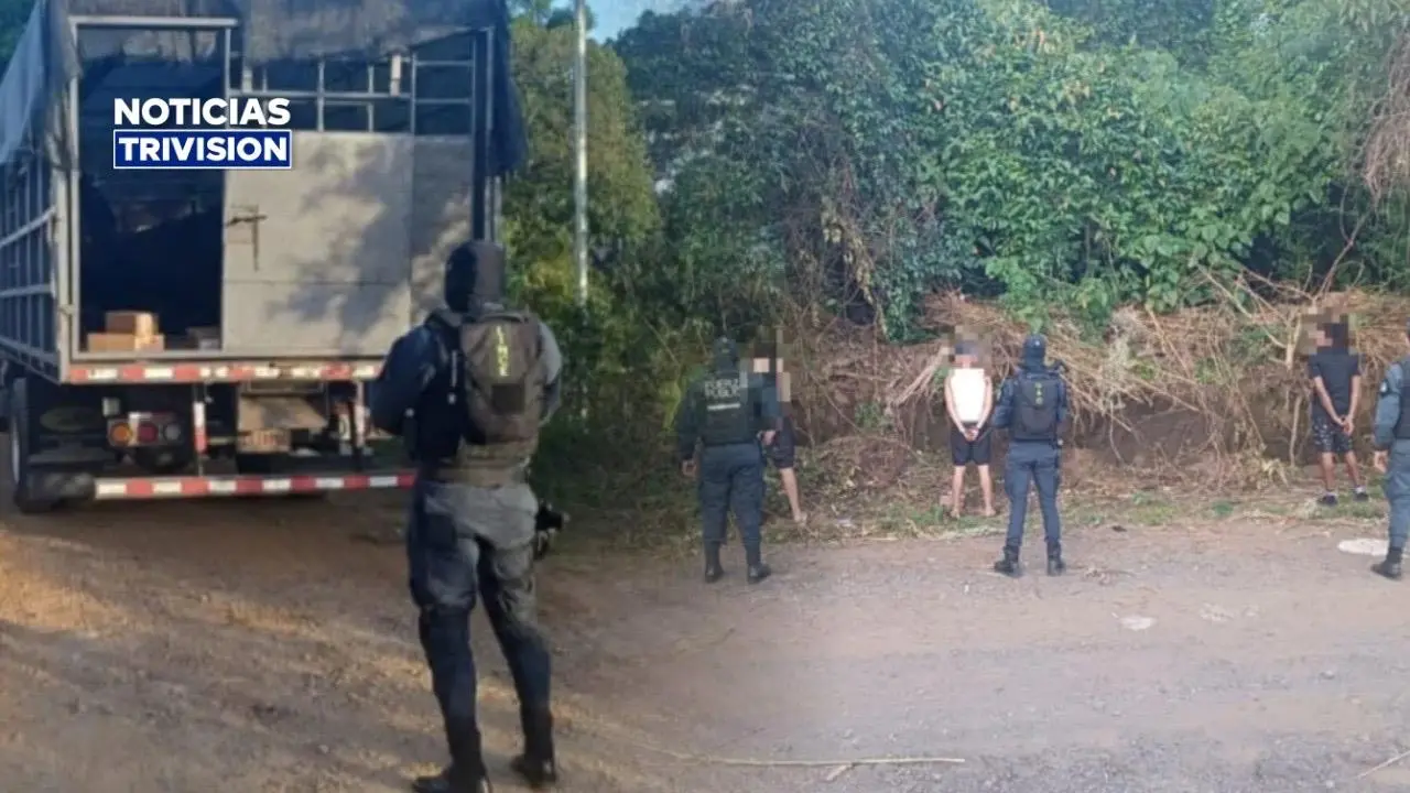 Recuperan más de 204 mil cajas de atún robadas y detienen a ocho sospechosos