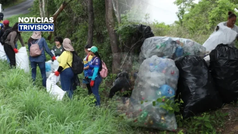 Retiran más de dos toneladas de basura del Túnel Verde de Guanacaste