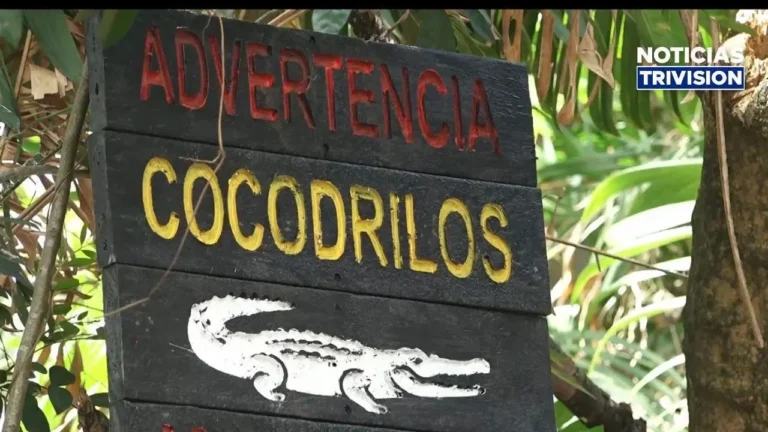 Vacaciones de medio período arrancan con alerta por cocodrilos en playas y ríos de Costa Rica