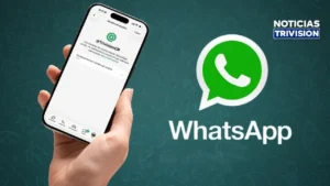WhatsApp estrenará nombres de usuario para proteger la privacidad
