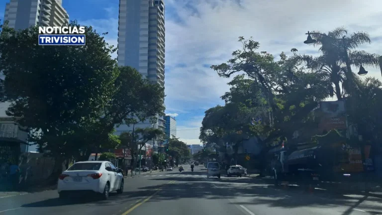 31 de agosto sin restricción vehicular por placas en San José