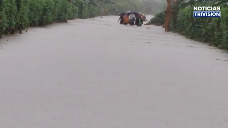 38 personas permanecen en albergues por afectaciones de las lluvias en Matina