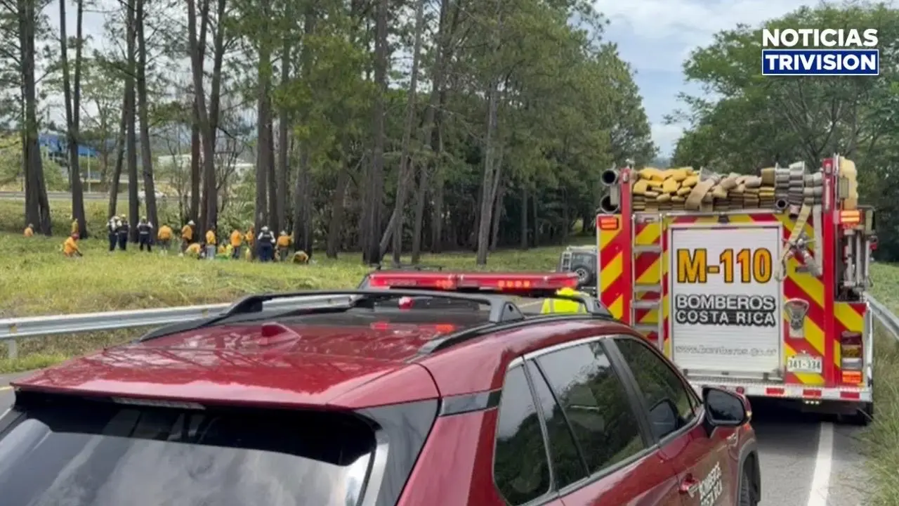 Abejas atacan a privados de libertad que realizaban trabajos en la Florencio del Castillo