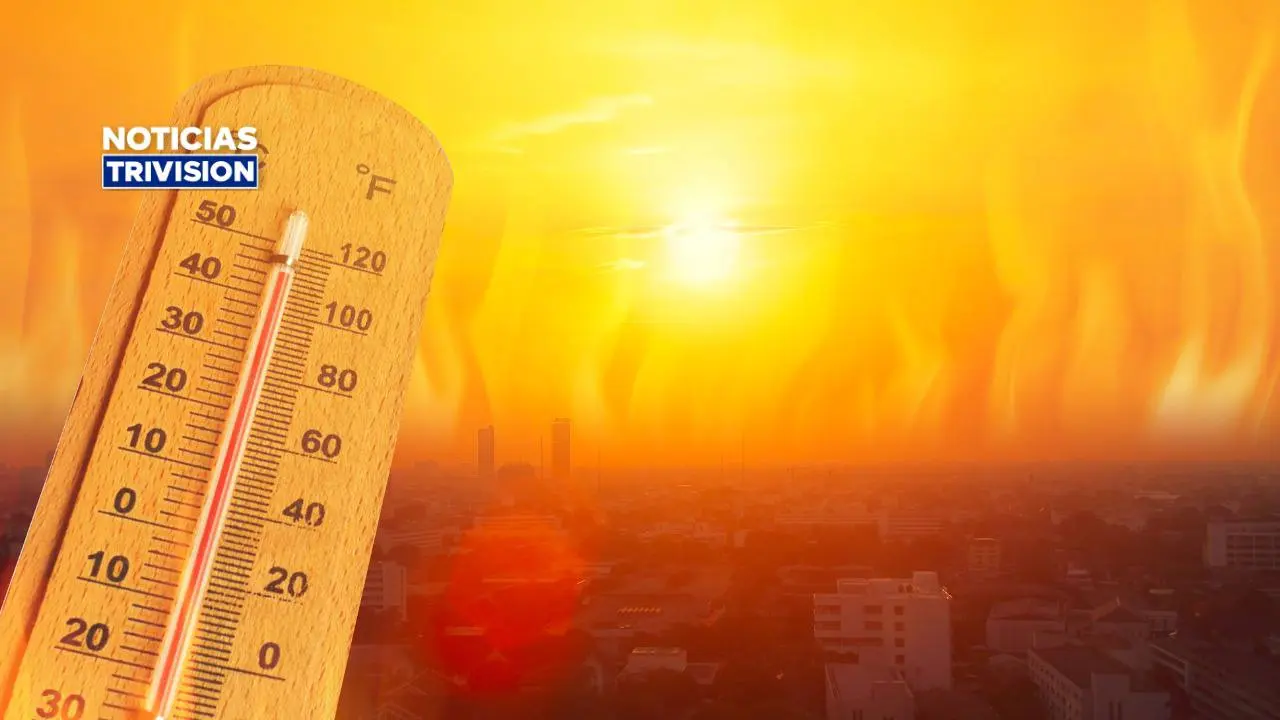 Alemania estima 14,000 muertes relacionadas con el calor durante este verano