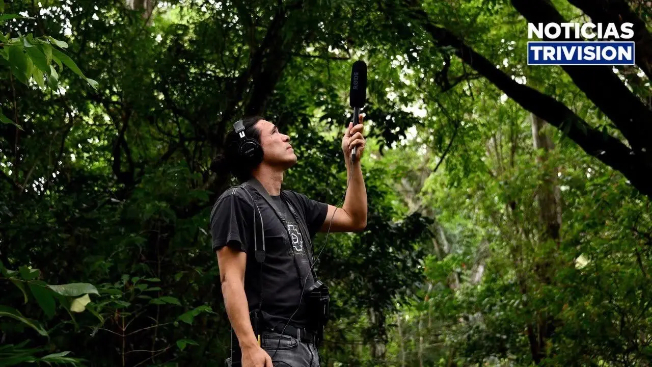Científico tico gana premio de $150.000 por estudiar animales salvajes