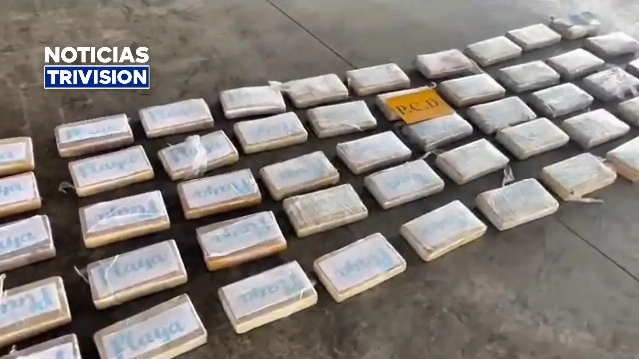 Decomisan 50 kilos de cocaína ocultos en contenedor con destino a Europa