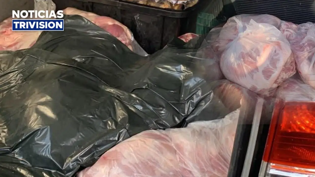 Decomisan cerca de 240 kilos de carne de cerdo sin registro sanitario en Belén