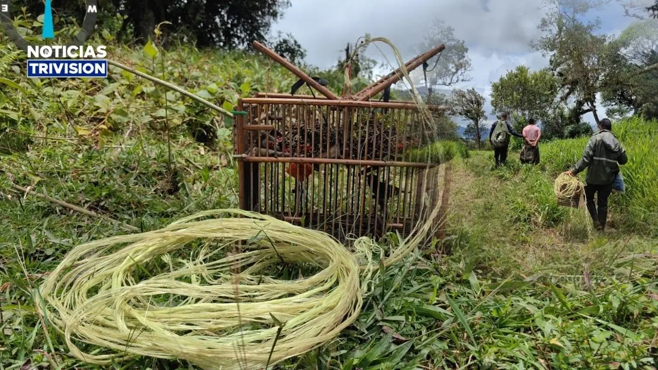 Detienen a sospechoso de cazar aves silvestres en zona protegida