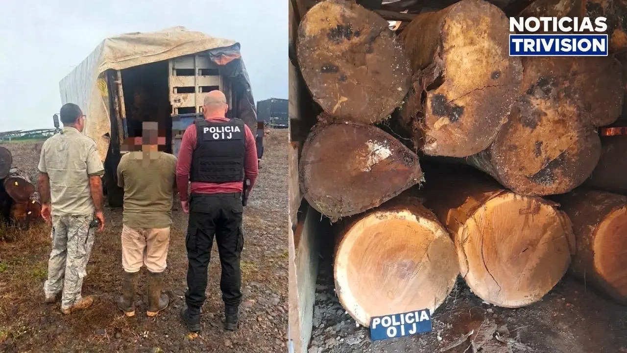 Detienen a sospechoso por presunto transporte ilegal de madera en San Carlos