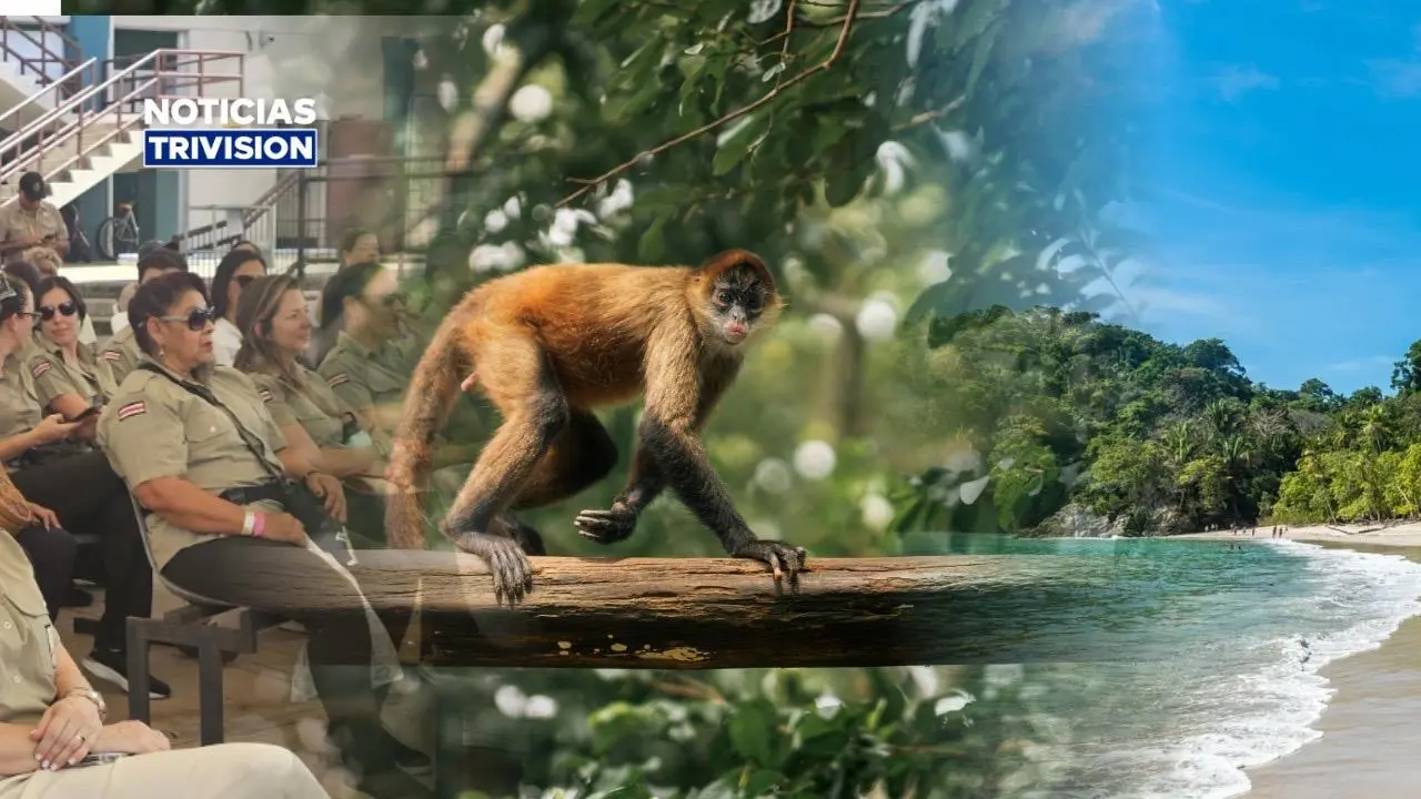 Día de los Parques Nacionales: 6% de la biodiversidad del mundo está en Costa Rica