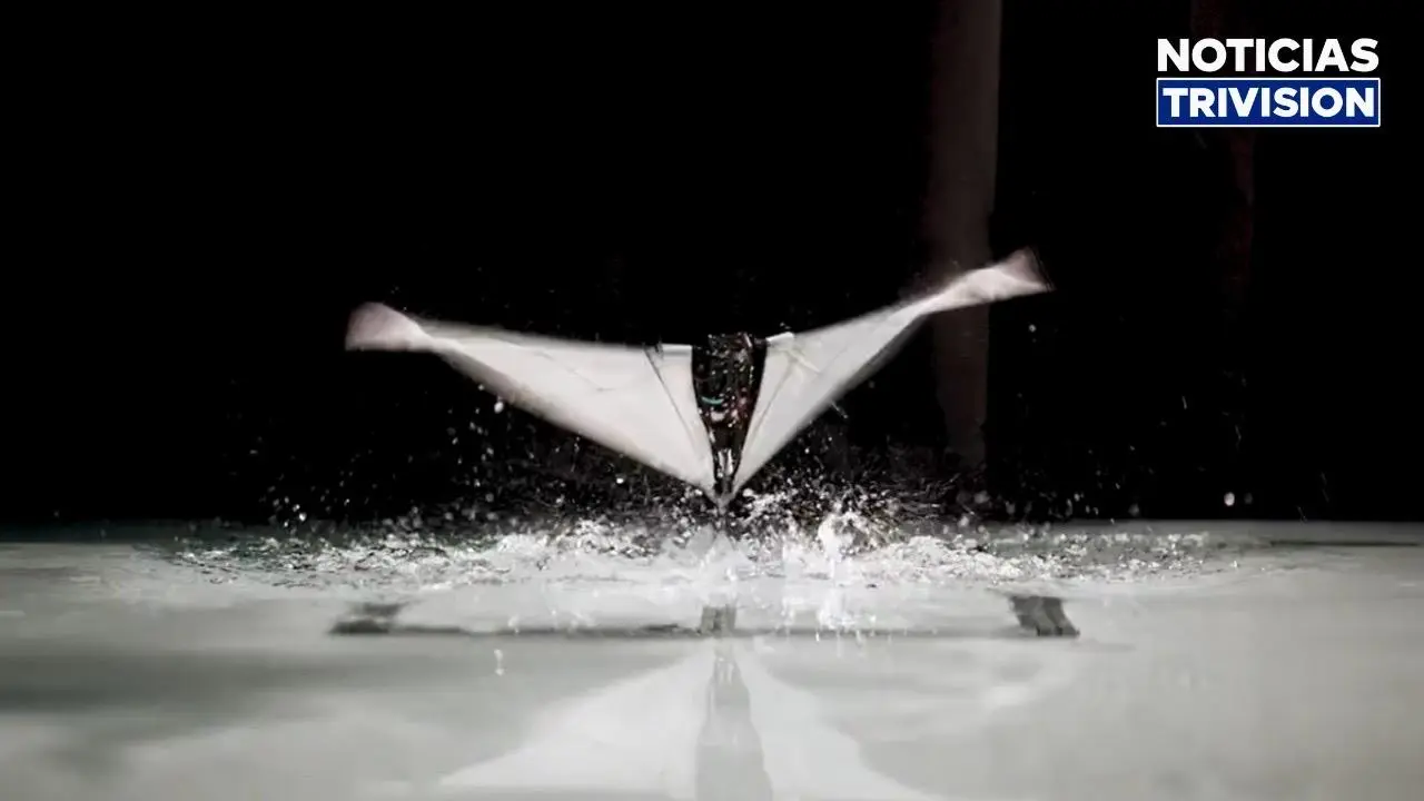 El robot del MIT que desafía los límites entre el aire y el agua