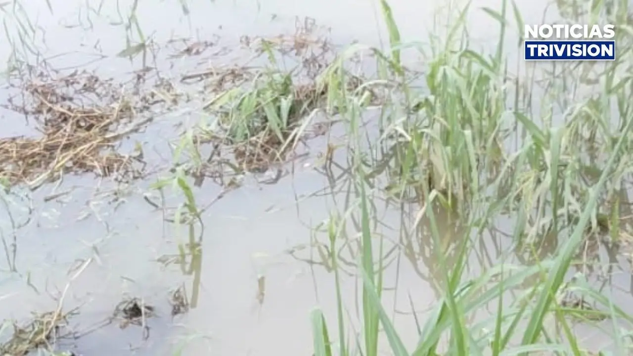 Encuentran cuerpo envuelto en plástico a orillas del río Chirripó