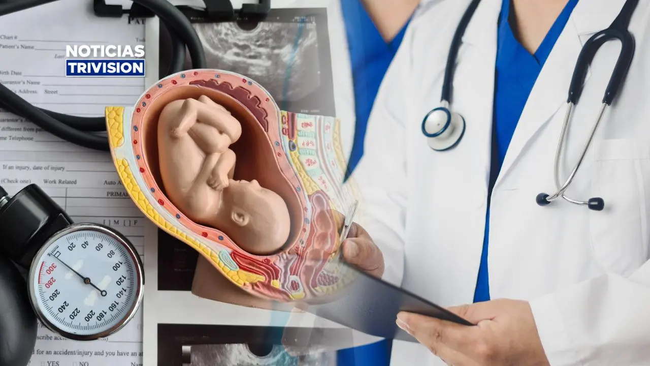 La Sala da razón a residente de ginecología que se negó a participar en procedimientos abortivos
