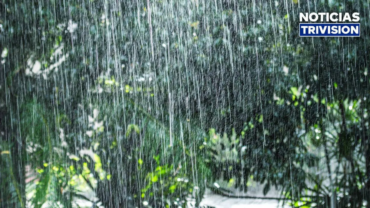 Llegada de la onda tropical #33 provocará intensas lluvias este lunes