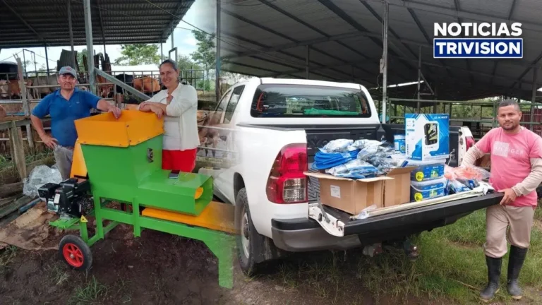 Más de ₡45 millones fortalecen producción agropecuaria en Guácimo
