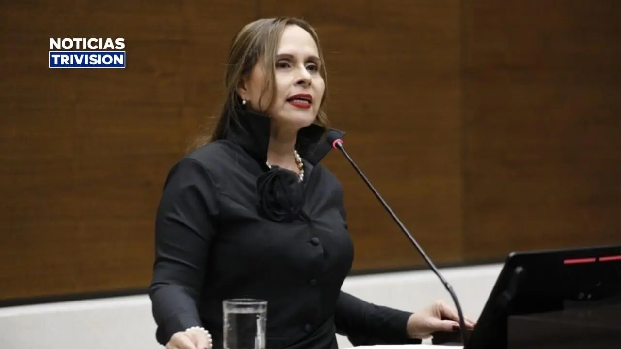 No más pines de oro para los diputados
