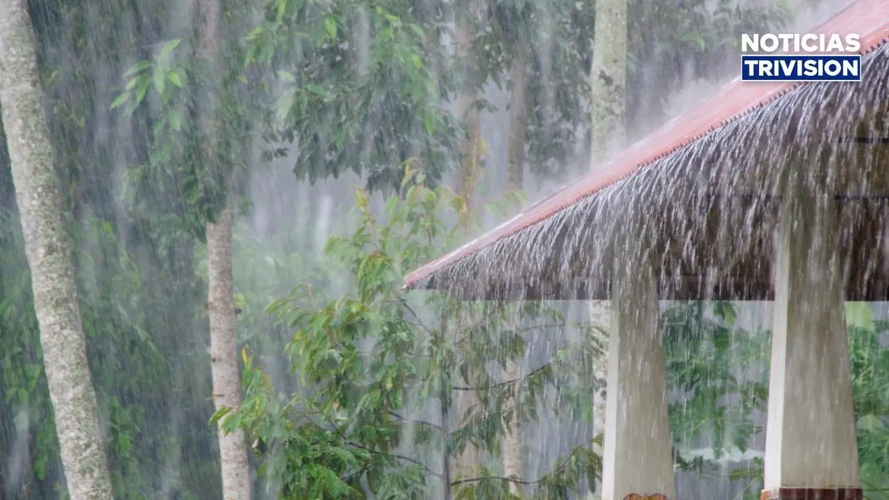 Onda tropical #30 marcará el tiempo este lunes con lluvias y viento