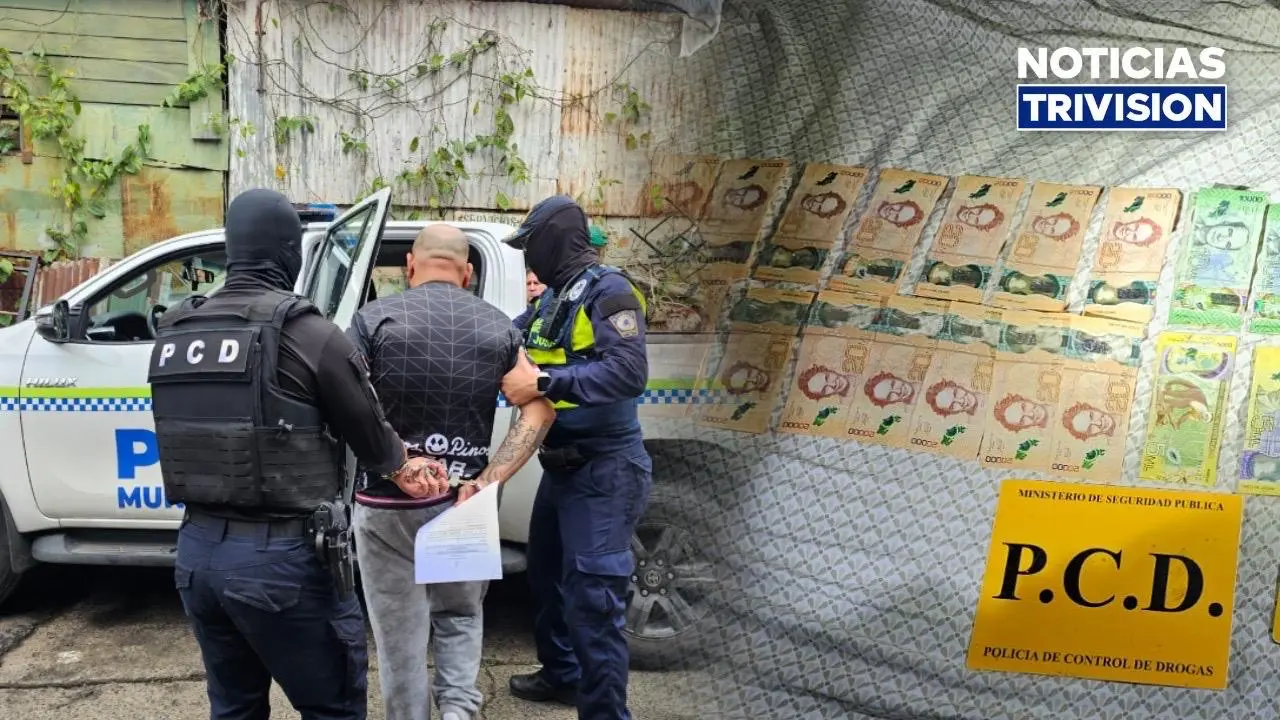 PCD desarticula tres presuntos expendios de droga en San Sebastián