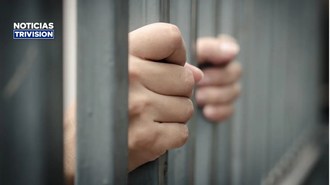 PCD detiene a cuatro sospechosos por narcomenudeo en Limón y la Zona Sur