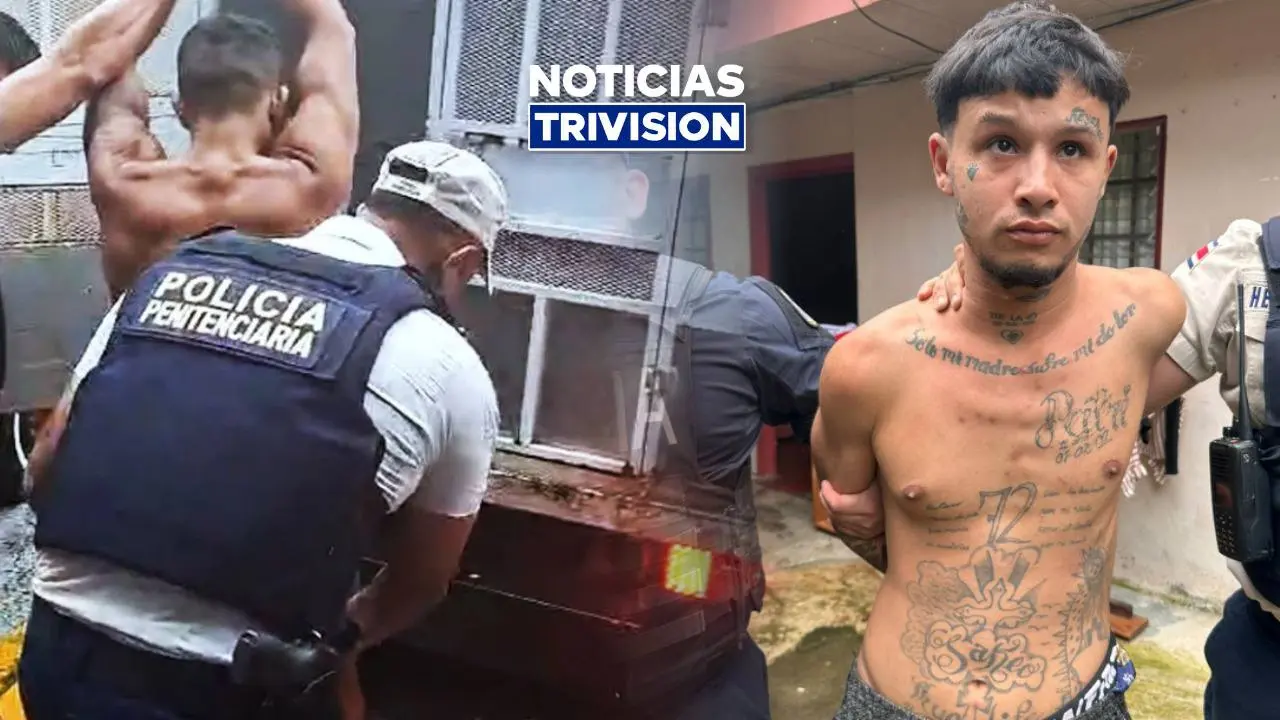 Recapturan a los dos privados de libertad fugados de la cárcel Nelson Mandela