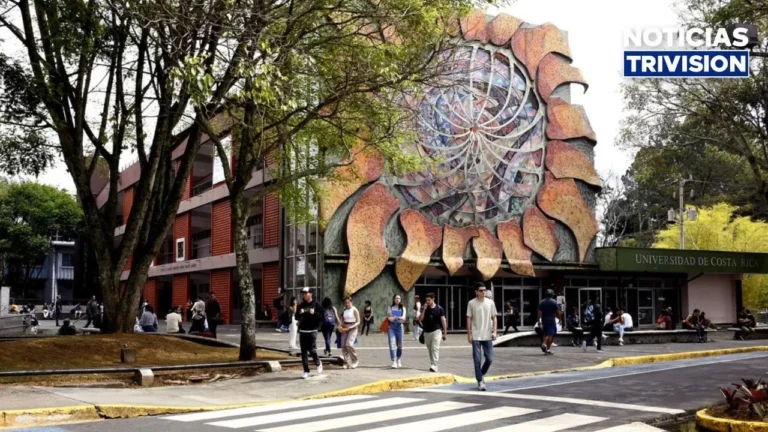 UCR destina ₡514 millones para aumentar beneficios de becas socioeconómicas