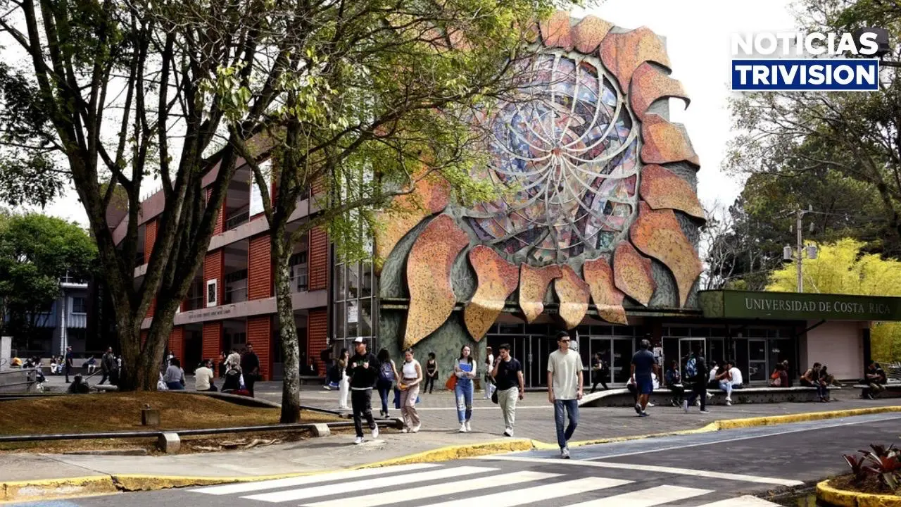 UCR destina ₡514 millones para aumentar beneficios de becas socioeconómicas
