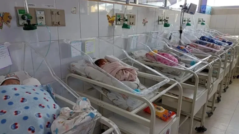2025 fue el año con menos nacimientos en la última década, según el TSE