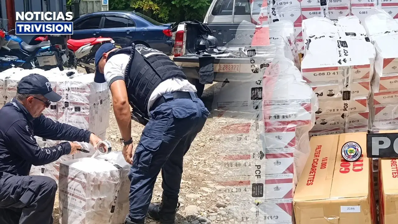 Detienen tres vehículos con 630 mil cigarros presuntamente de contrabando en Osa