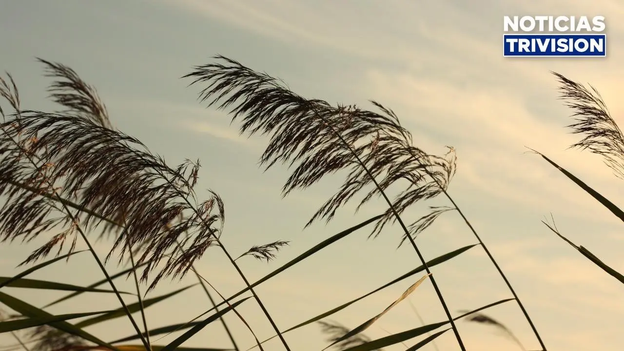 Fuertes ráfagas de viento marcarán este miércoles en varias zonas del país