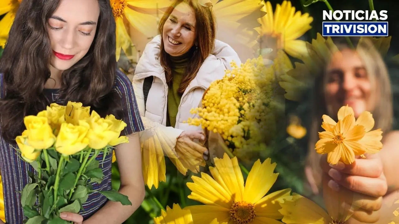 ¡Hoy florece el amarillo! Un detalle que simboliza amor, esperanza y nuevos comienzos