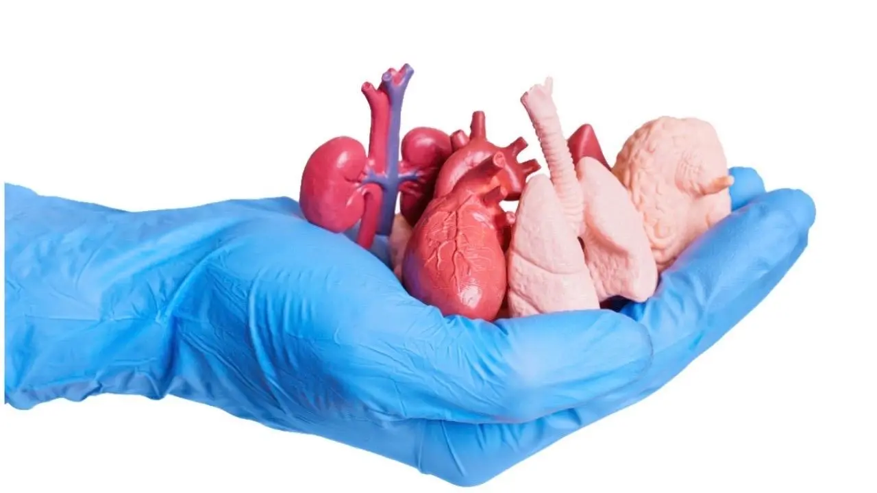 Ministerio de Salud refuerza sistema de donaciones y trasplantes