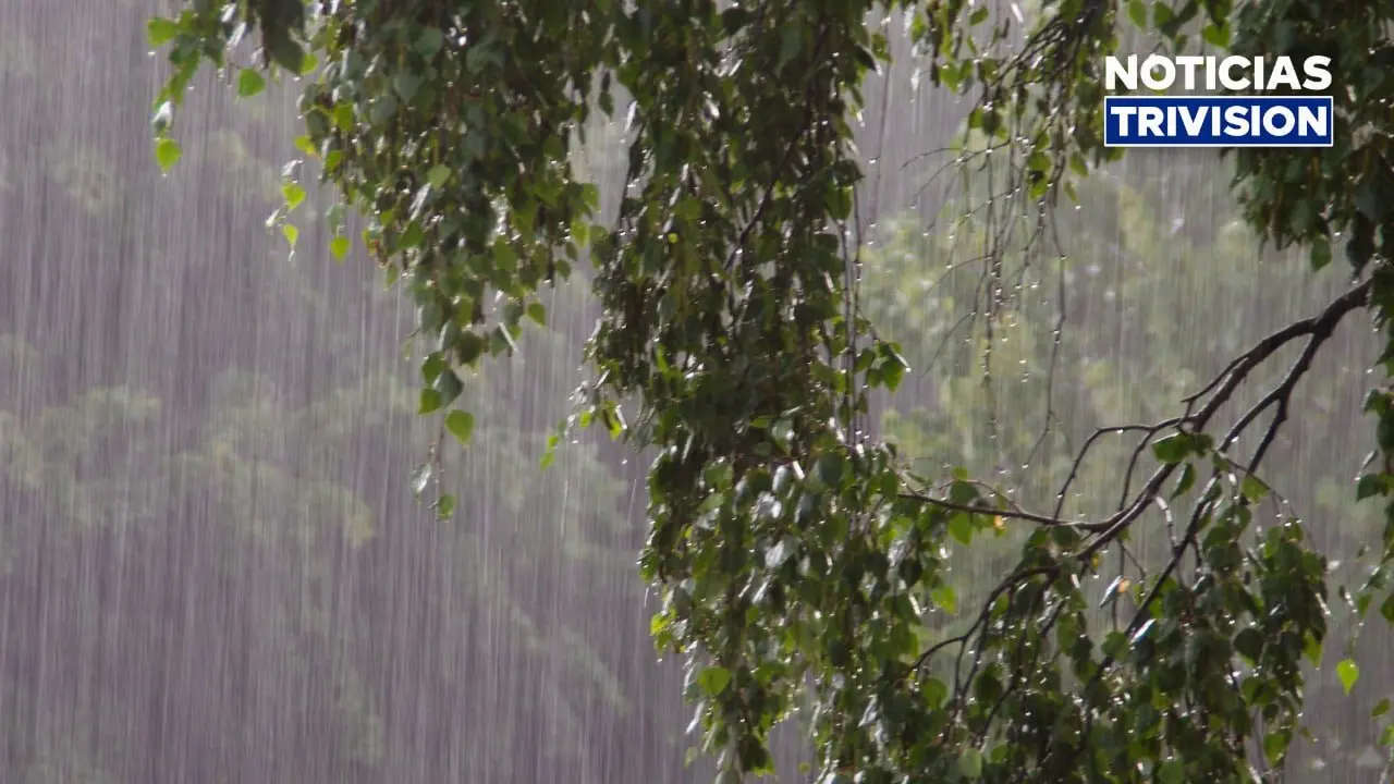 Tarde de aguaceros y tormentas eléctricas para este jueves
