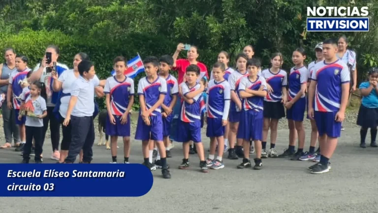 patria7